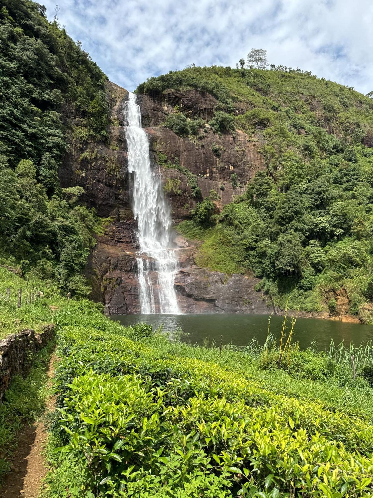 Pekoe Lodge Maskeliya ภายนอก รูปภาพ